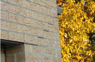 Building Inspections